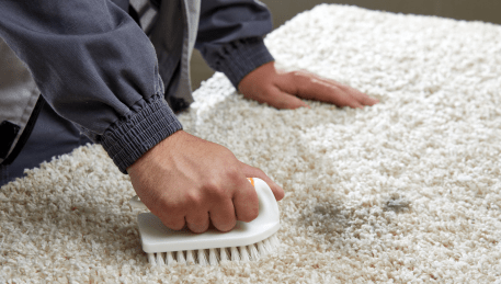 Professional Rug Cleaning Yarrambat